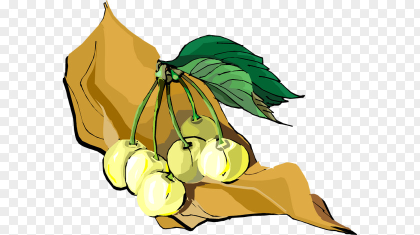 Cerises Fruit Clip Art Centerblog Illustration Image PNG