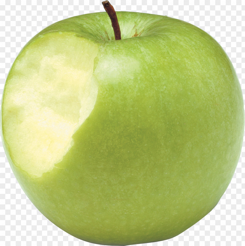 Apple Photos Clip Art PNG