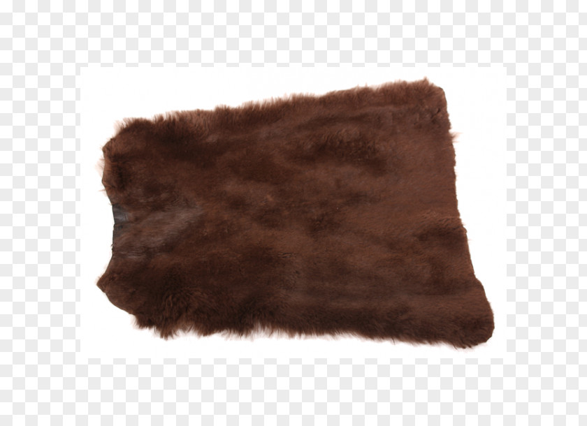 Bear No Buckle Diagram Fur Brown PNG