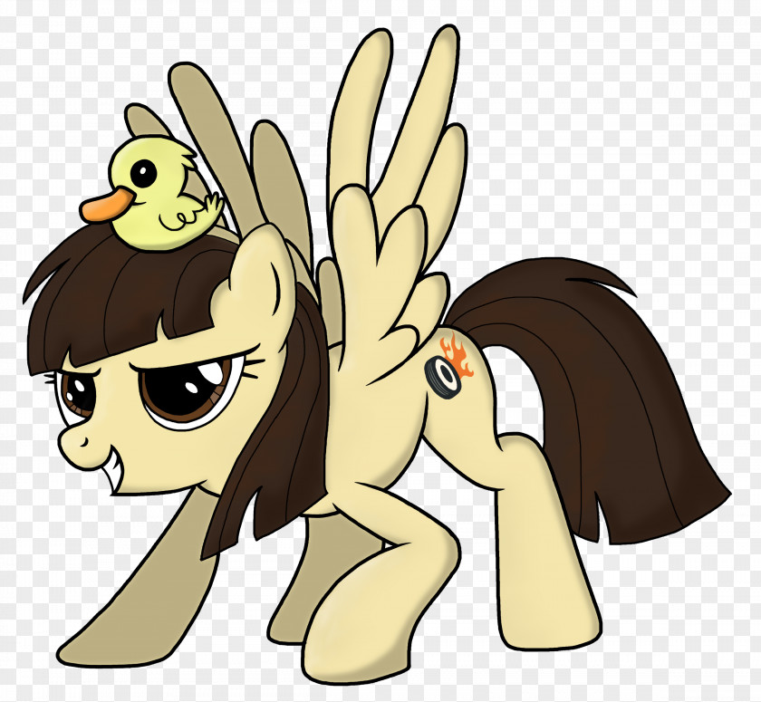 Horse Pony Cat You're Welcome PNG