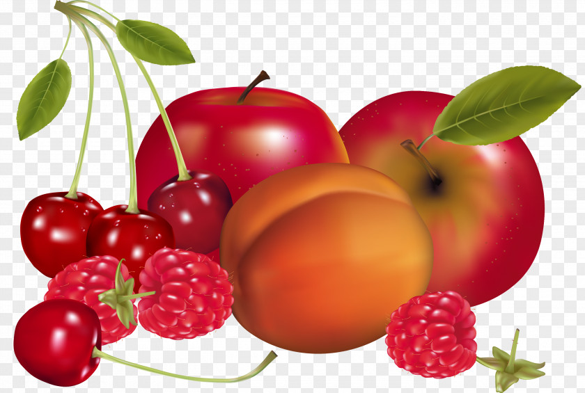 Pomegranate Juice Fruit Drawing Apricot PNG