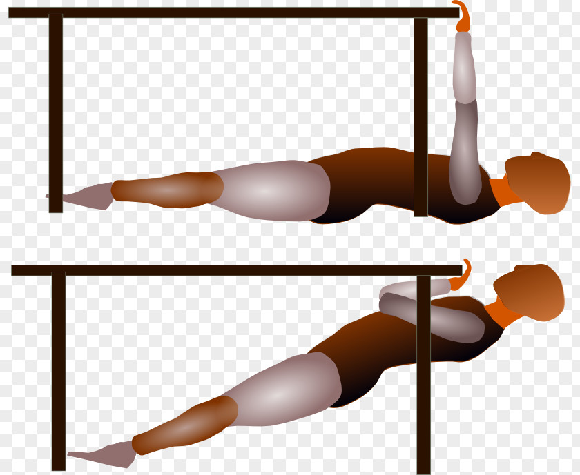 Table Pull-up Arm Row Physical Fitness PNG