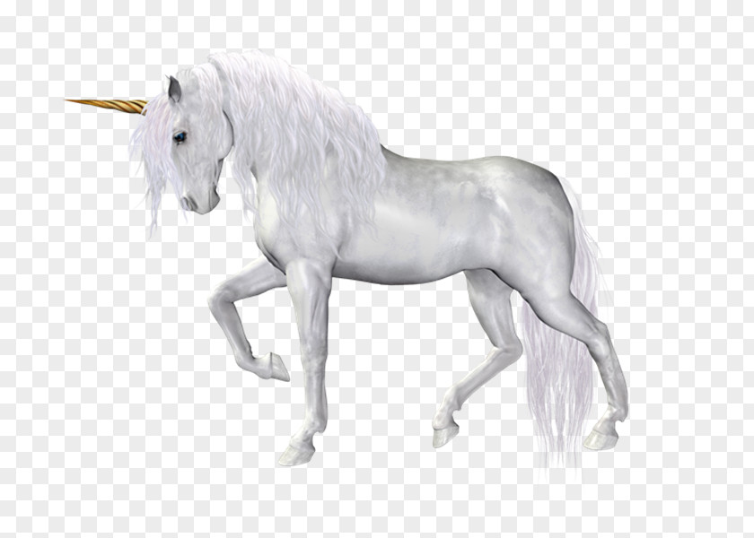 Unicorn Mane Horse PNG