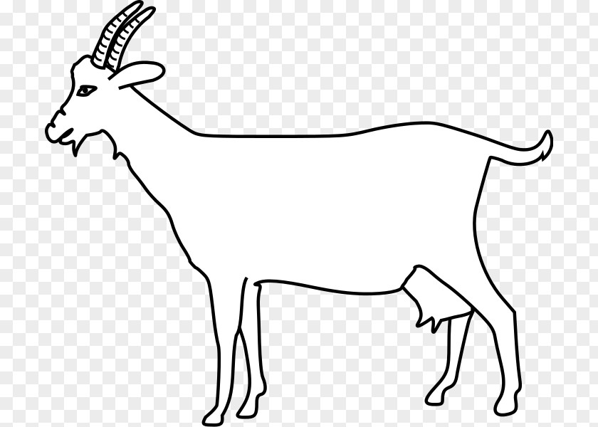 White Goat Antelope Horn Human Anatomy Sheep PNG