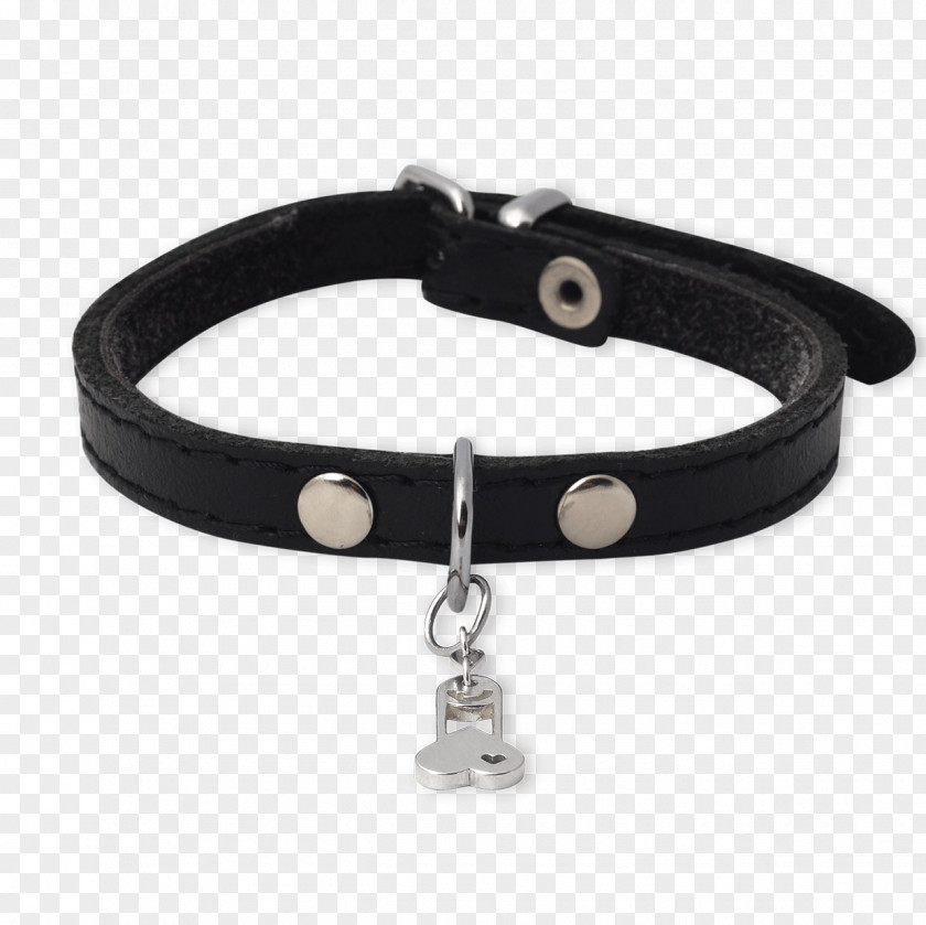 Dog Bracelet Collar PNG
