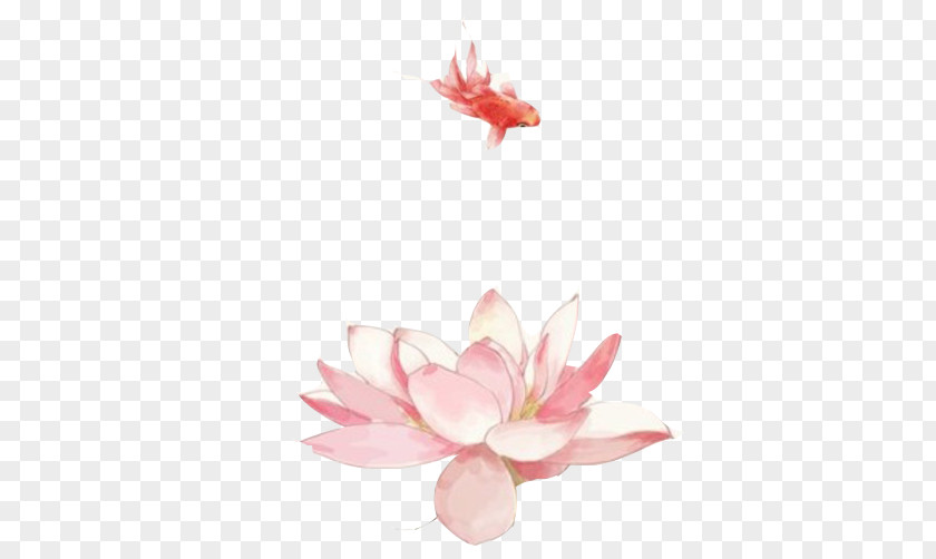 Goldfish Lotus FIG Creative Image Painting Flowers Watercolor Art PNG