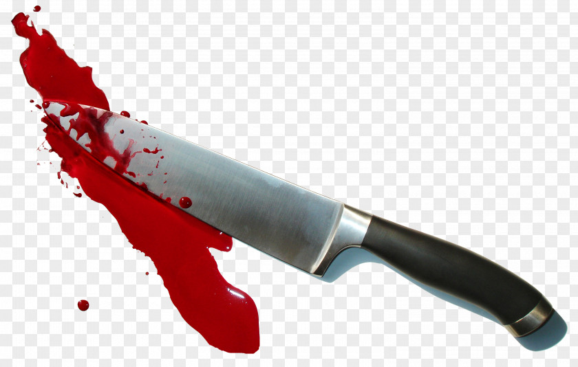 Knife Kitchen Knives Murder Stabbing PNG