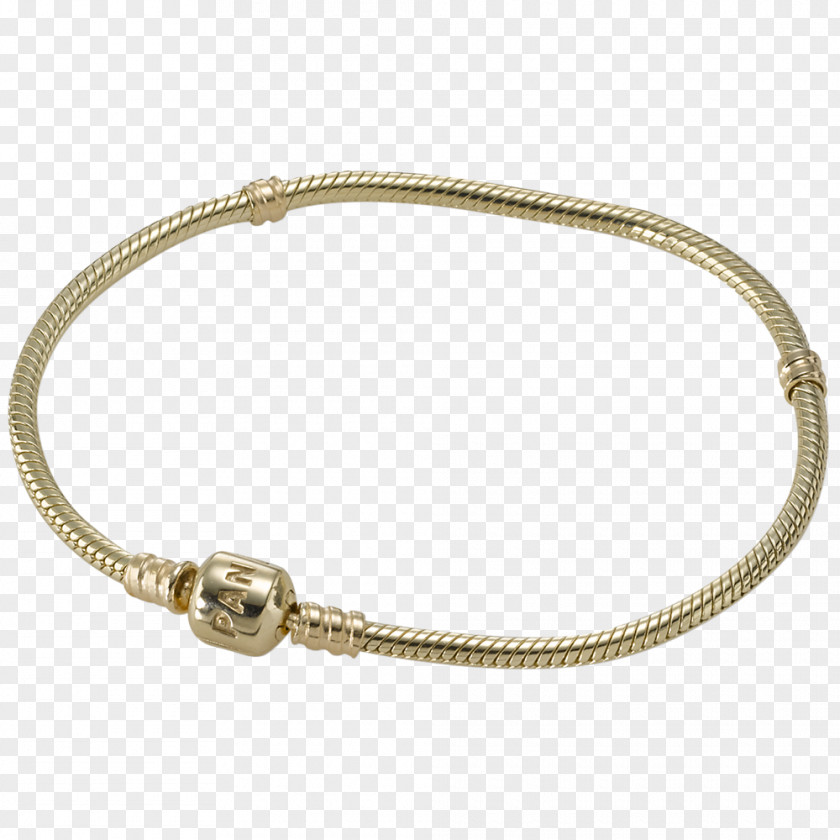 Pandora Earring Charm Bracelet Jewellery PNG