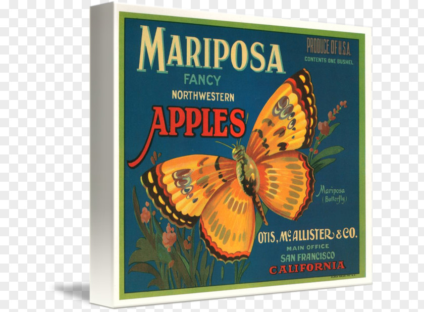 Apple Label Crate Fruit Advertising PNG