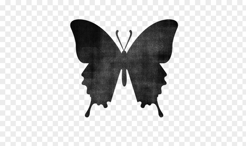 Butterfly Insect Silhouette PNG
