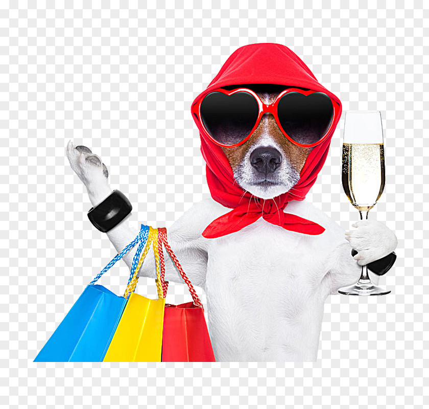 Dog Shopping Bag Stock Photography Pet Shop PNG