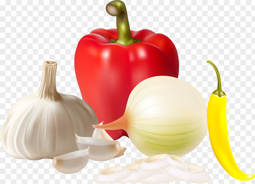 Garlic Vegetable Food Spice Clip Art PNG