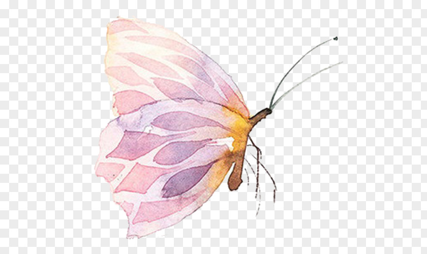 Pink Butterfly Watercolor Painting PNG