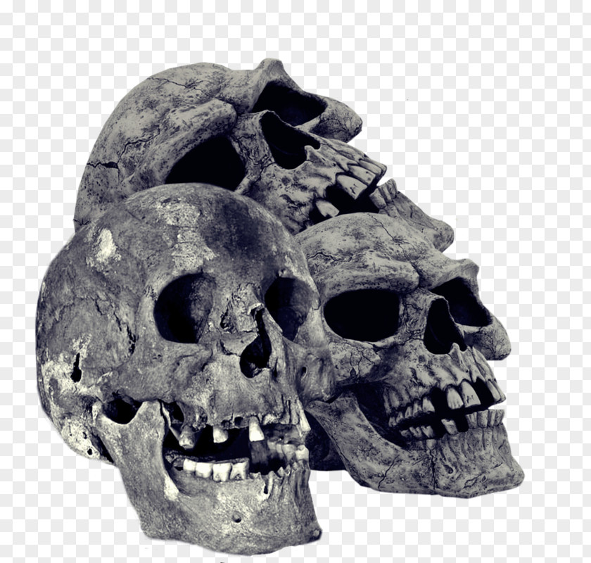 Skull Bone Desktop Wallpaper PNG