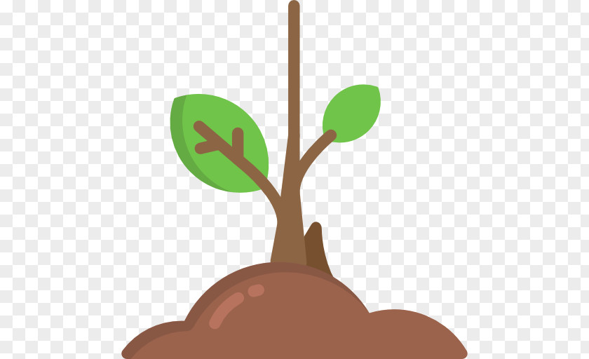 Sprout PNG