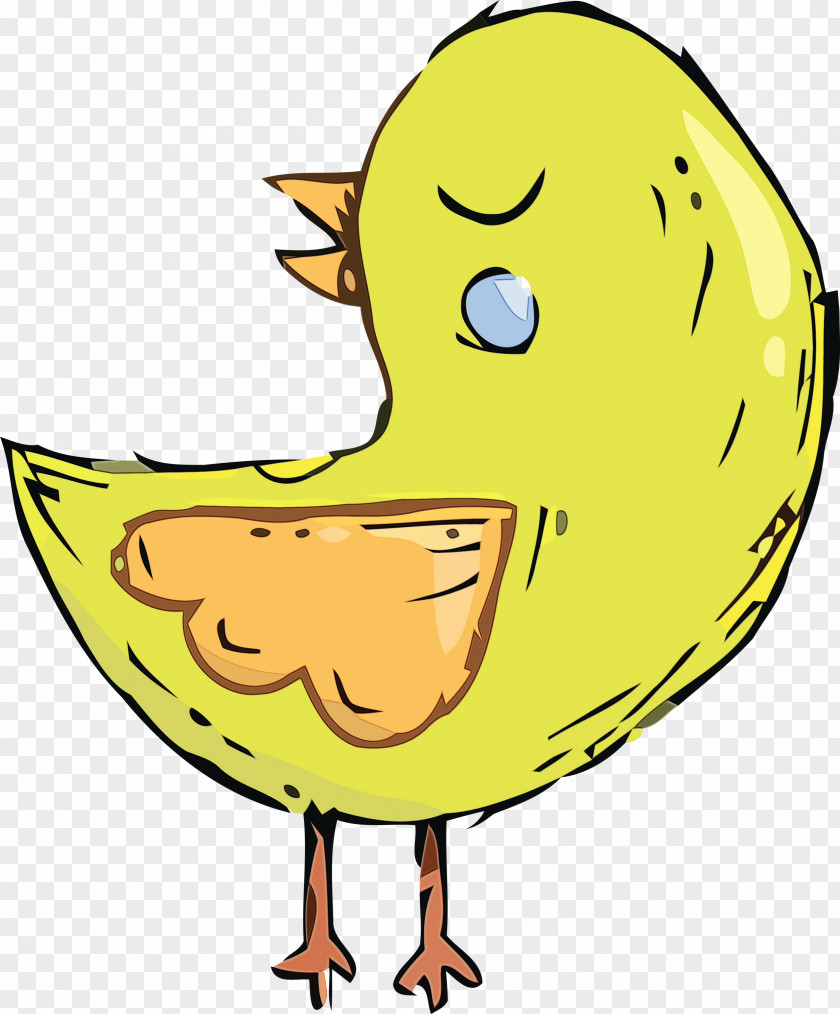 Birds Duck Beak Water Bird Yellow PNG