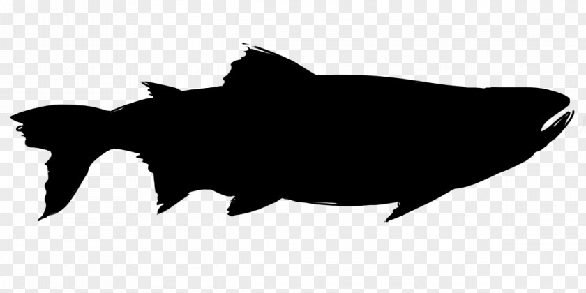 Blackandwhite Fish Dog Silhouette PNG