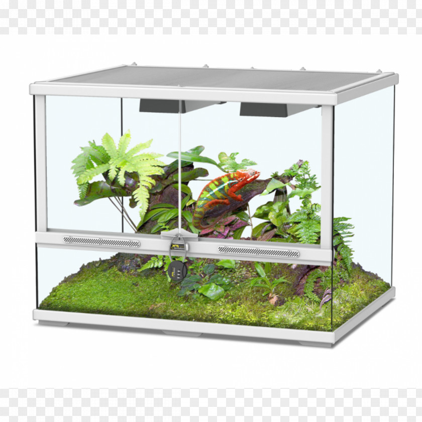 Brand Line Terrarium Pets Reptile Vivarium Glass PNG