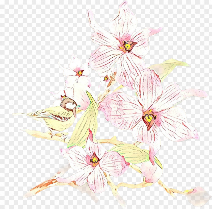 Herbaceous Plant Blossom Flower Pink Petal Wildflower PNG