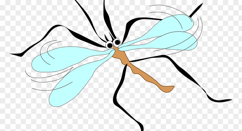 Herbaceous Plant Membranewinged Insect Butterfly Drawing PNG