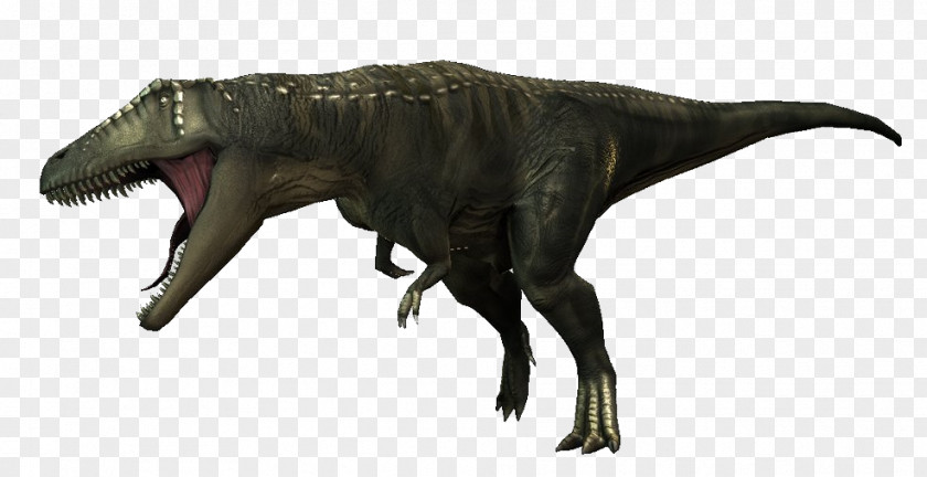 Jpog Carcharodontosaurus Tyrannosaurus Giganotosaurus Spinosaurus Acrocanthosaurus PNG