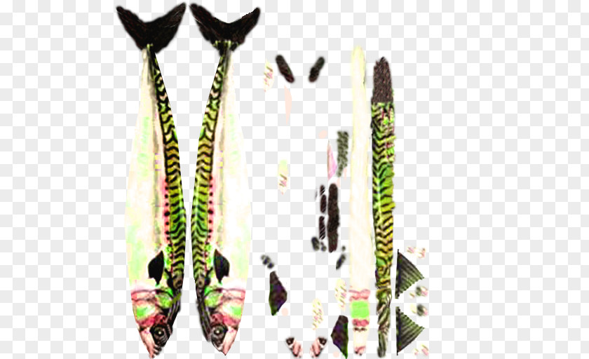 Mackerel Ski Bindings Feather PNG