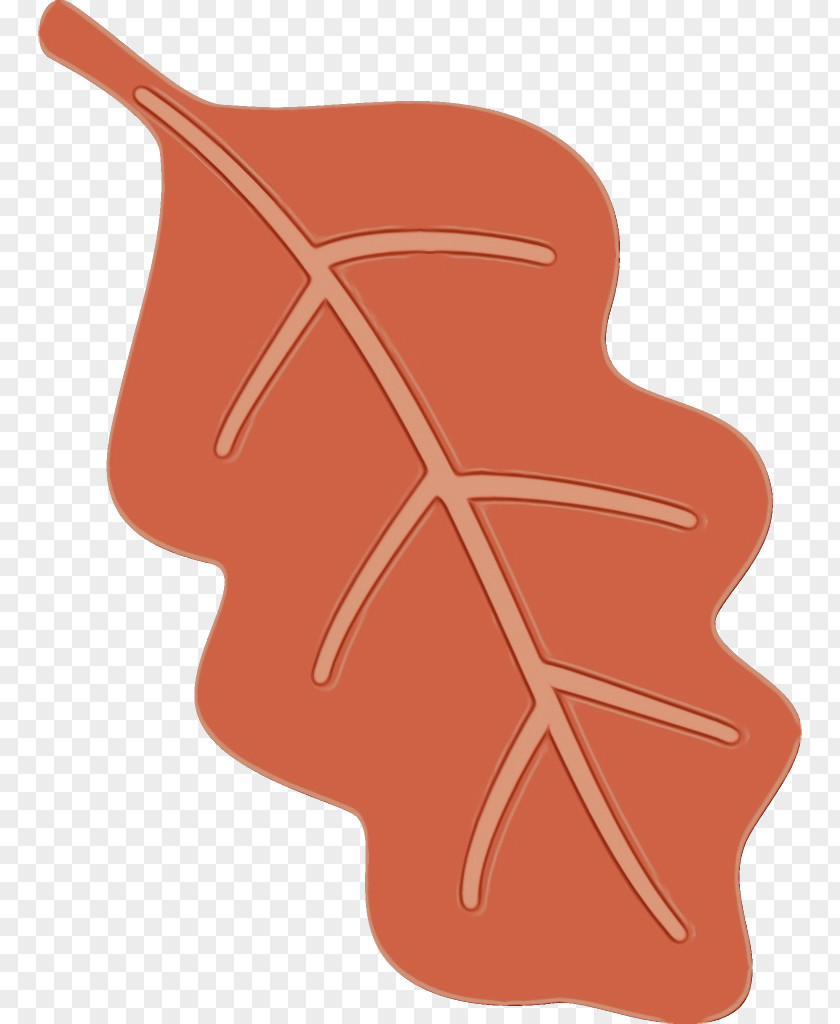 Plant Orange PNG