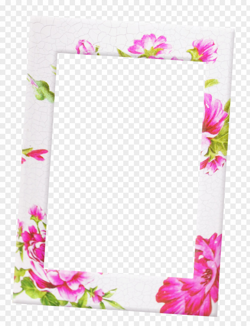 Rose Berry White Frame Pink Beach PNG