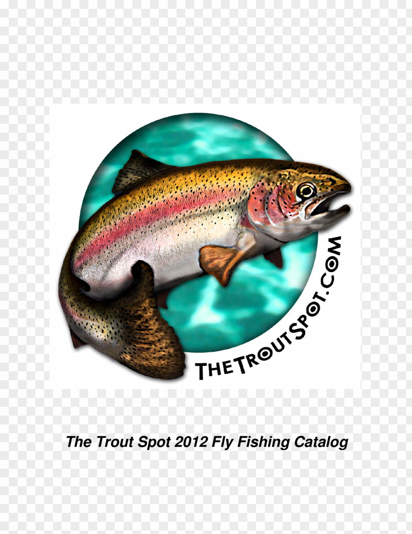Trout The Spot Fly Fishing Recreational Artificial PNG