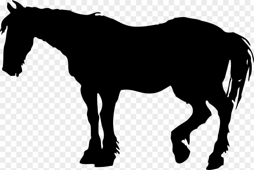 Animal Silhouettes Mustang Foal Mare Silhouette PNG