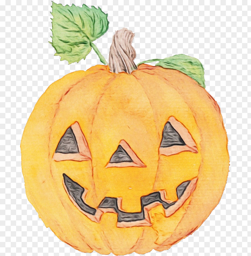 Leaf Plant Pumpkin PNG