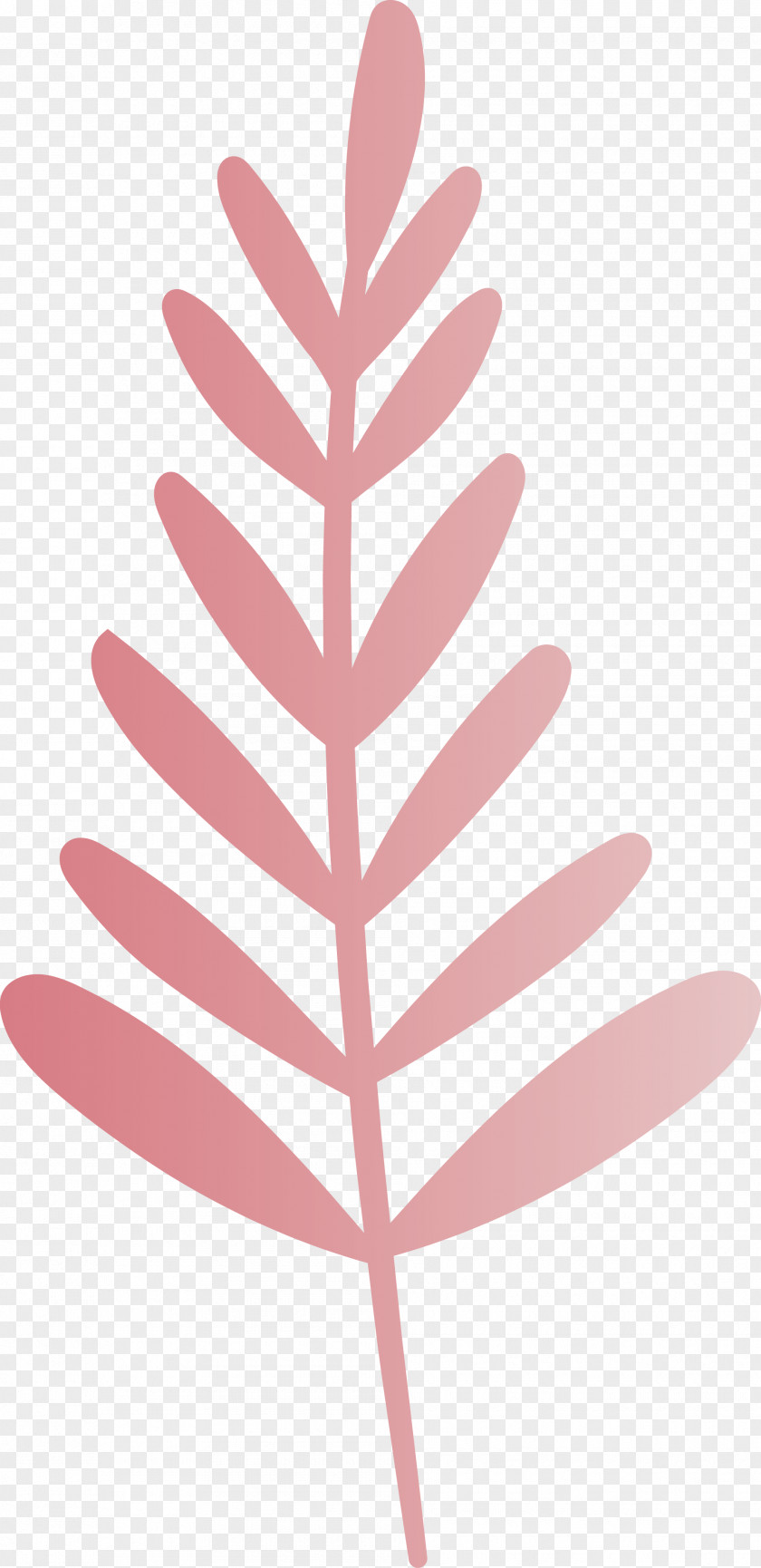 Petal Leaf Pink M Line Meter PNG