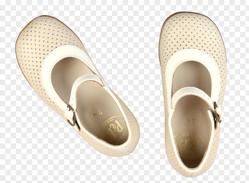 Sandal Slipper Shoe PNG