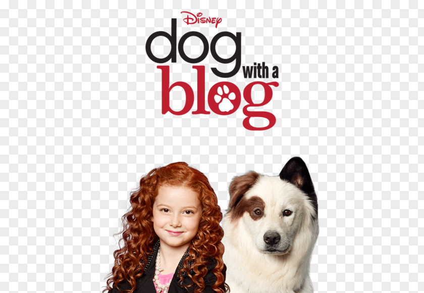 Season 2 Avery Jennings Stan Runs AwayOthers G Hannelius Dog With A Blog PNG