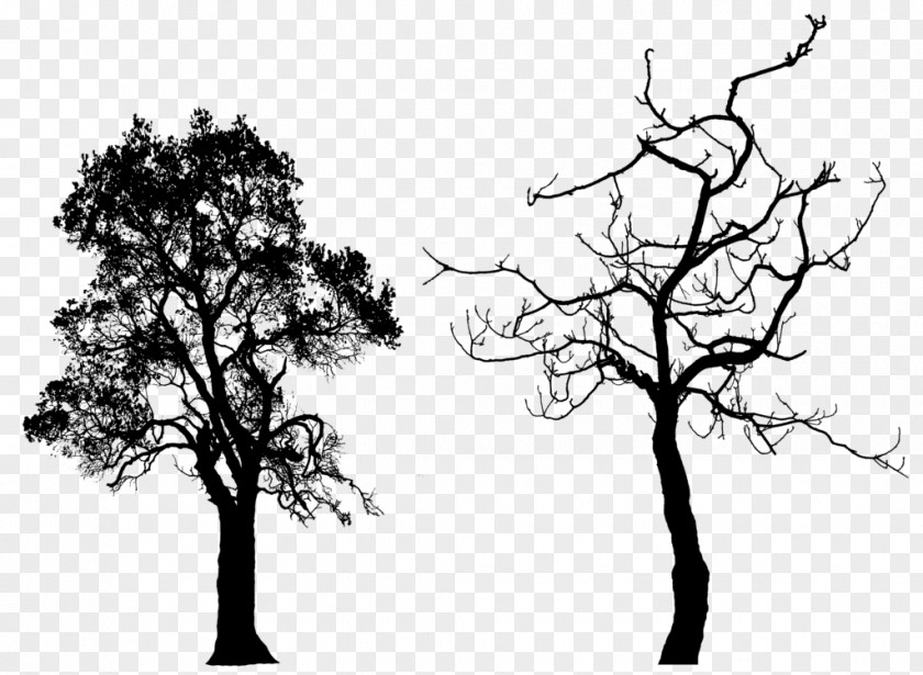 Free Tree Silhouette Clip Art PNG