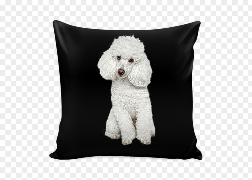 Poodle Standard Dog Breed Pillow Water PNG