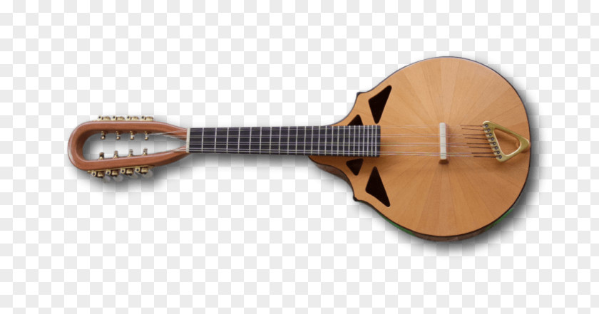 Rare Musical Instruments Mandolin Banjo Guitar Acoustic Cuatro PNG