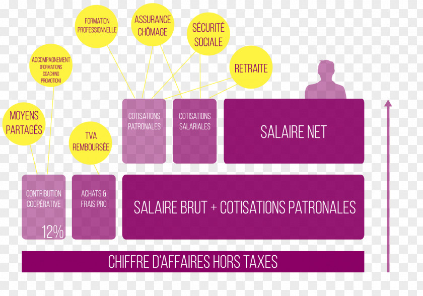 Remuneration Organization Entrepreneur Salary Cooperative PNG