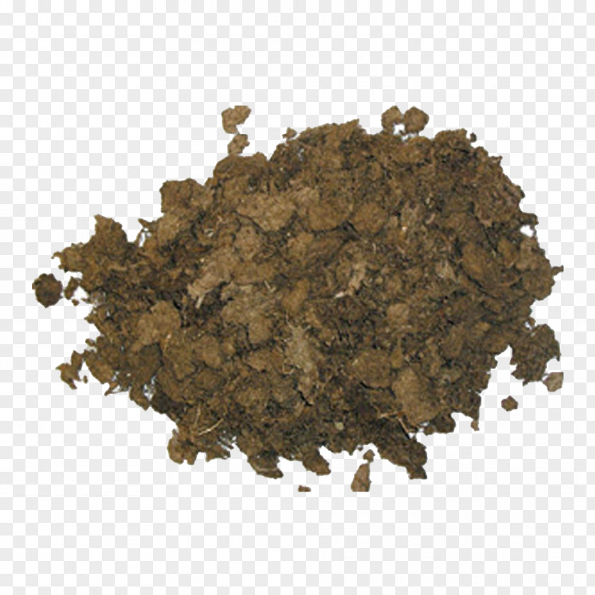 Sphagnum Moss Peat Soil Information PNG