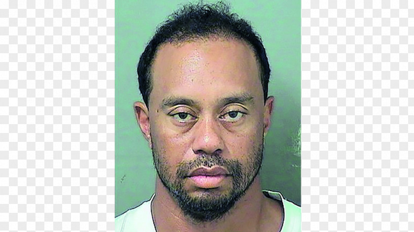 Tiger Woods Florida The US Open (Golf) Arrest PNG