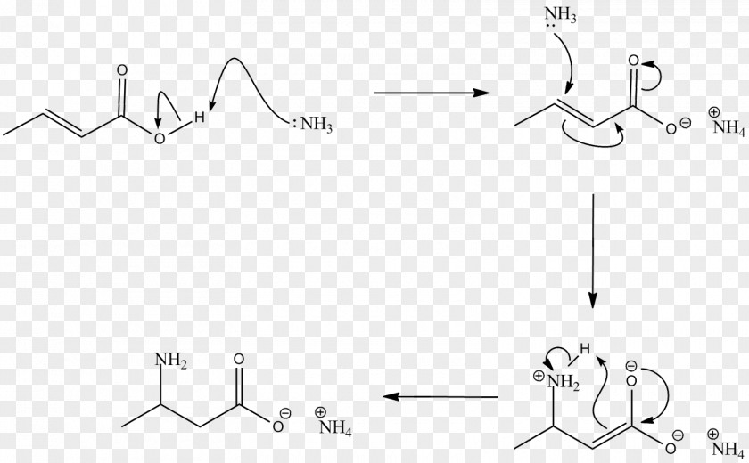 Amine Group Carboxylic Acid Chemical Reaction Amide PNG