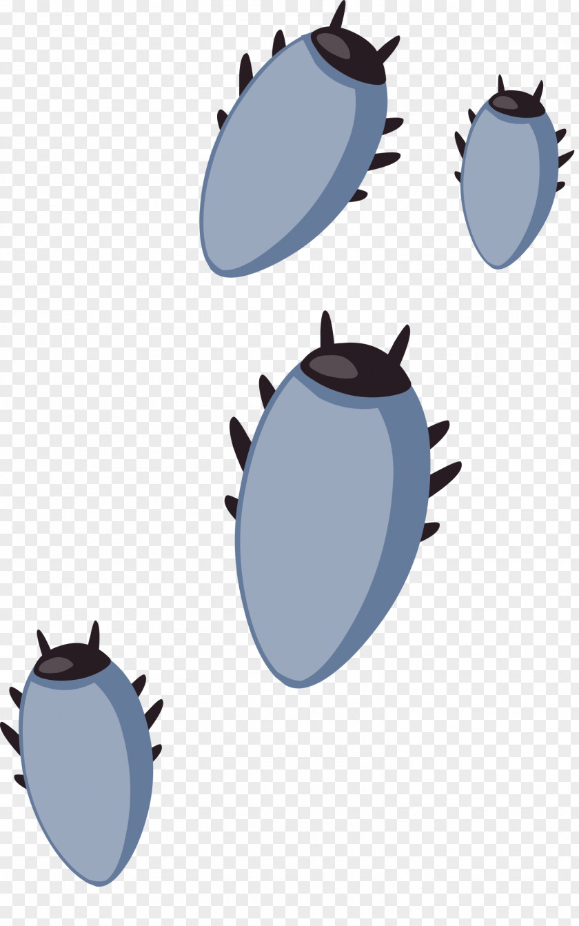 Bugs Parasitism Tick Clip Art PNG