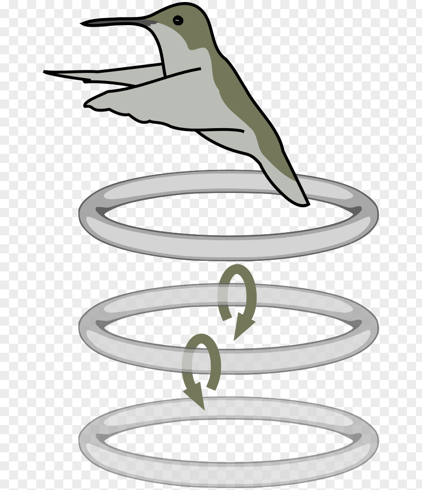 Flight Dynamics Textbooks Hummingbird Mexican Violetear Schwirrflug Budgerigar PNG