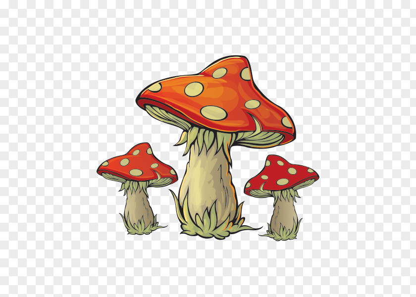 Mushroom Poisoning Amanita Muscaria Edible PNG