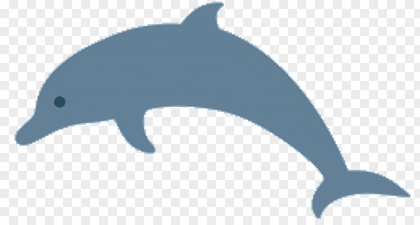 Porpoise Shortbeaked Common Dolphin Cartoon PNG
