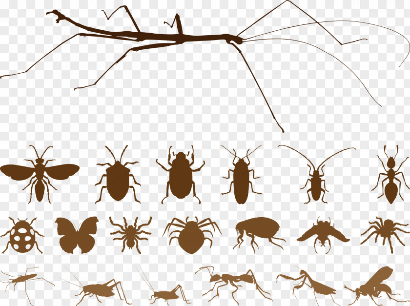 Silhouettes Brown Insect Vector Mosquito Spider Euclidean PNG