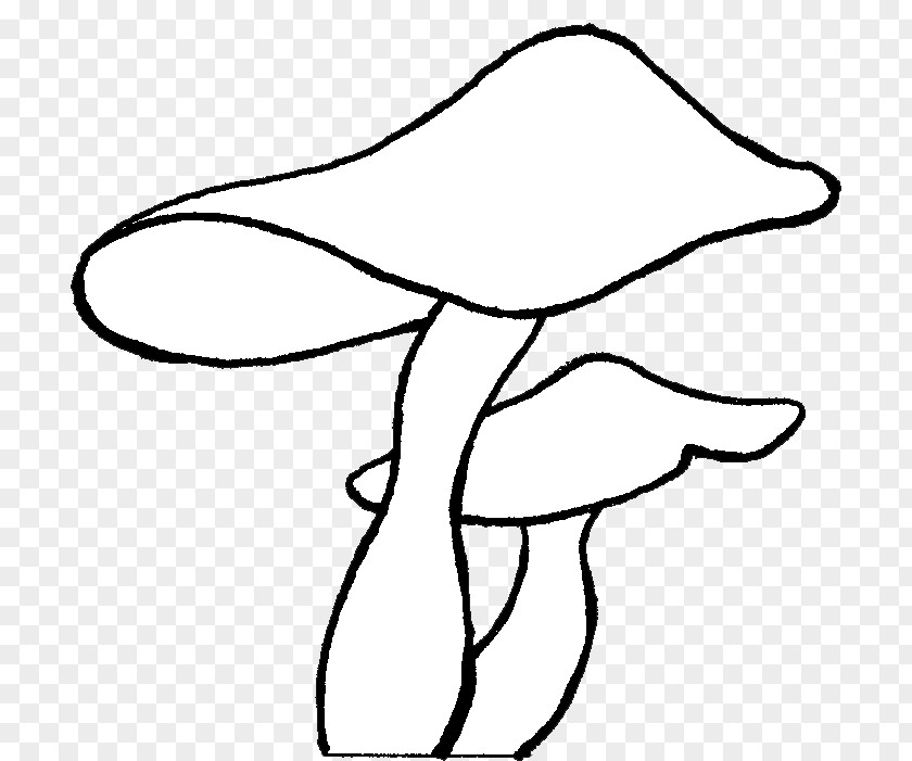 Fungi Drawing Art PNG
