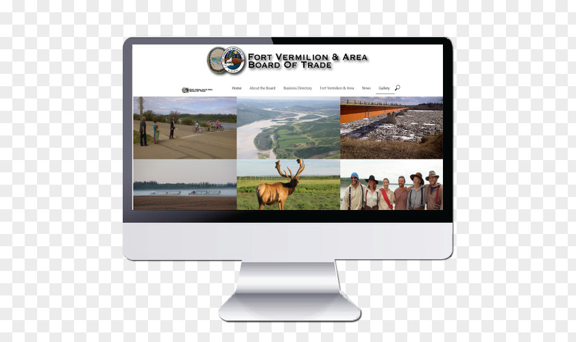 Online Presence Management Multimedia Computer Monitors Business PNG