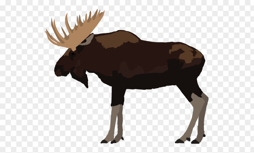 Reindeer Moose Elk Cattle Antler PNG