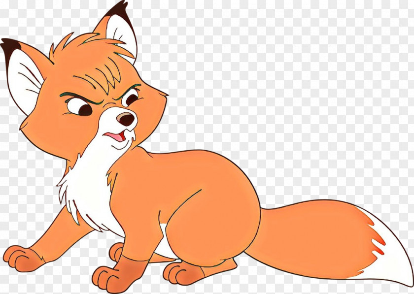Whiskers Dog Cat Red Fox Paw PNG